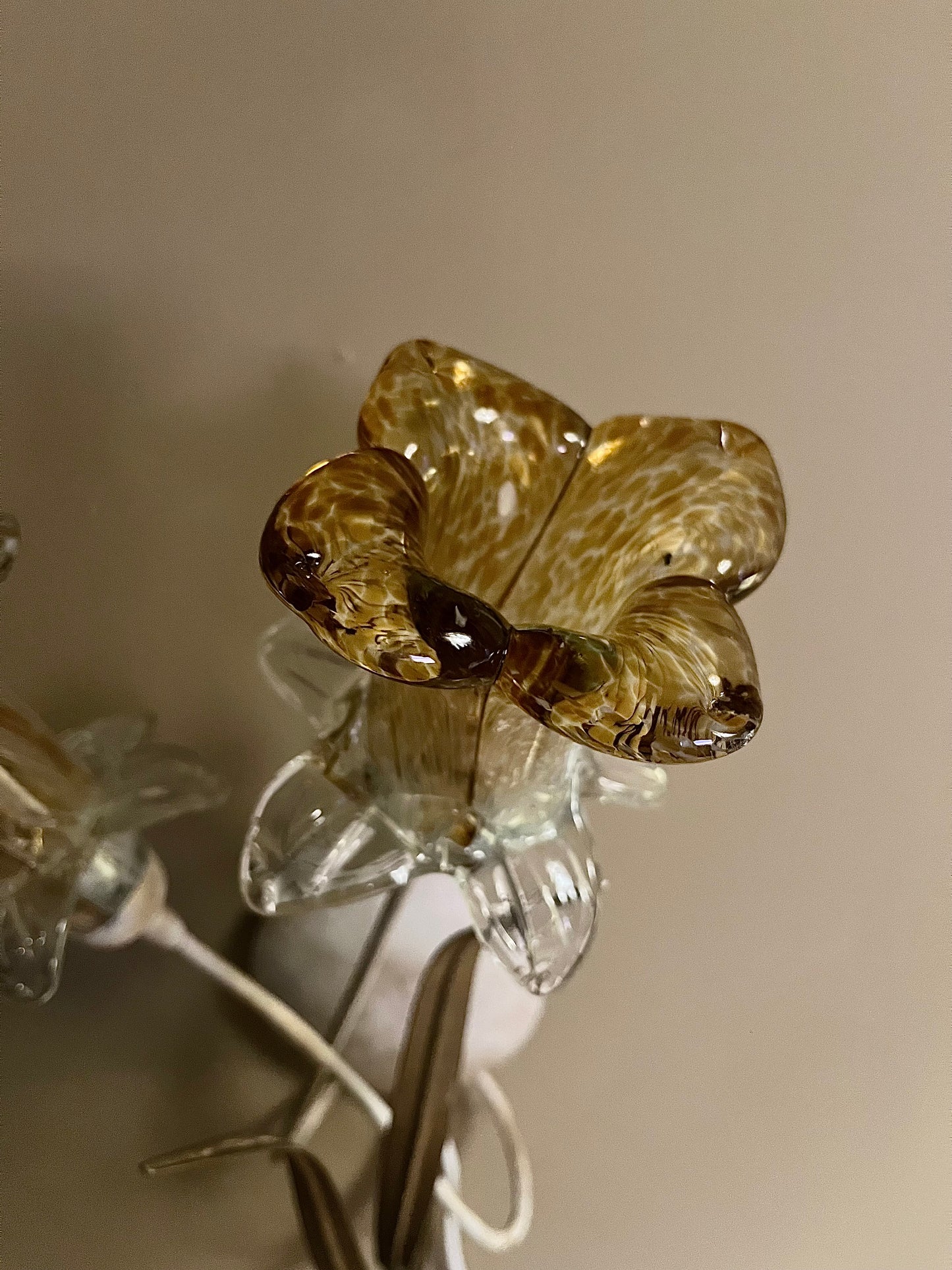 Vägglampa med blommor av Muranoglas